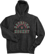 Navesink Super Heavyweight Fleece Hoodie